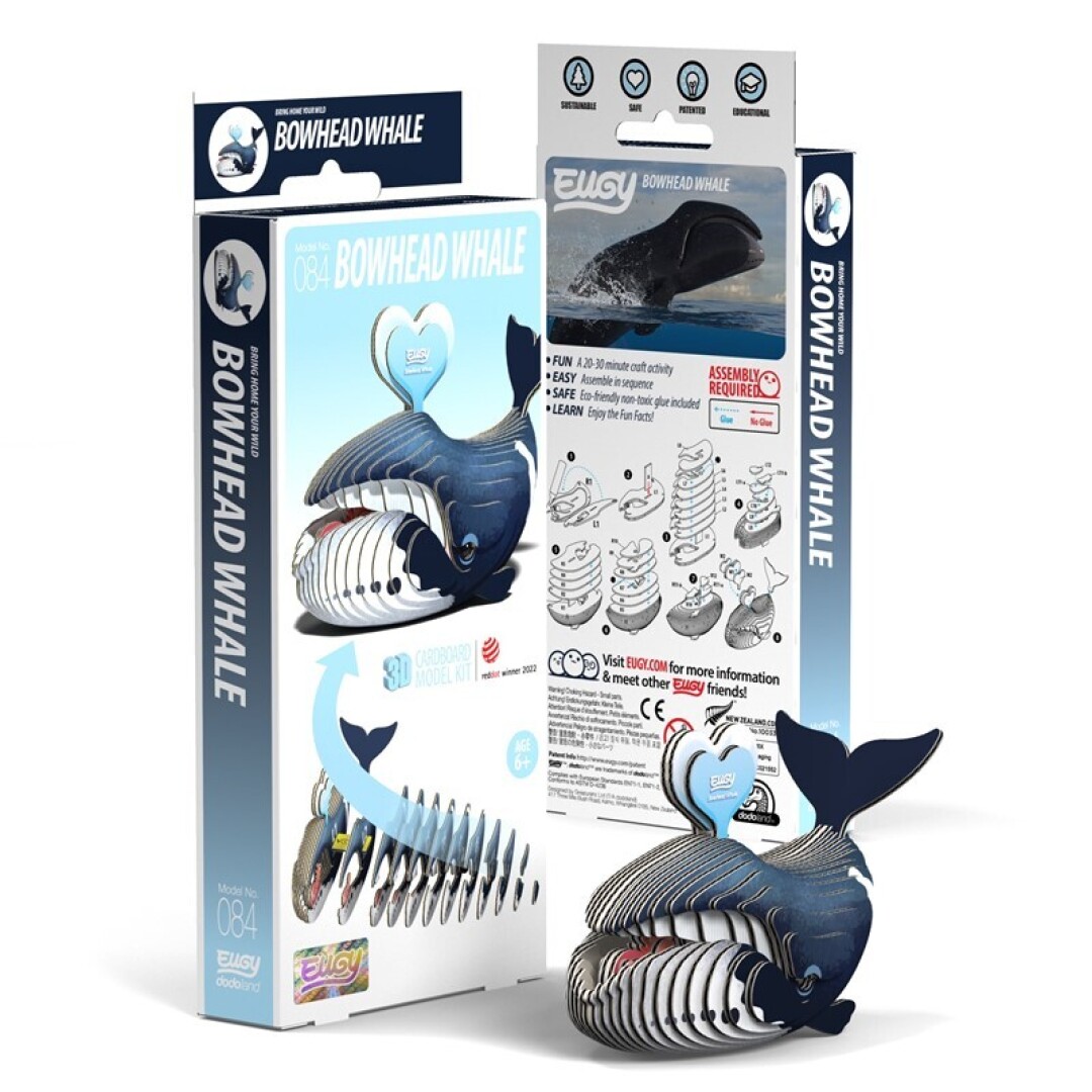 ballena_groenlandia.jpg